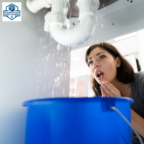 Navigating the Waters: Plumbing Service in Singapore
